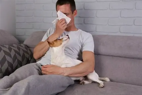 Είναι δυνατόν να δημιουργηθεί ανοσία στις αλλεργίες των σκύλων; Facts & FAQ
