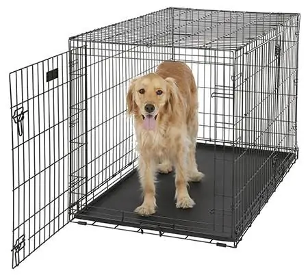 9 meilleures cages pour chiens pliables pour 2023 – Avis &