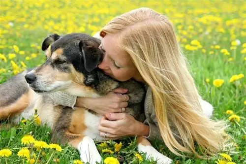 Ինչպես անել, որ ձեր շունը լավ հոտ ունենա առանց լոգանքի. 8 պարզ խորհուրդ