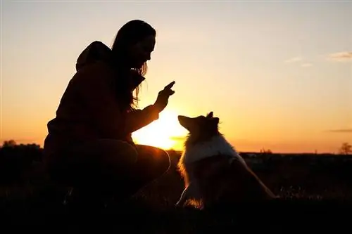 Setmana de conscienciació dels gossos sords 2023: què &, quan és?