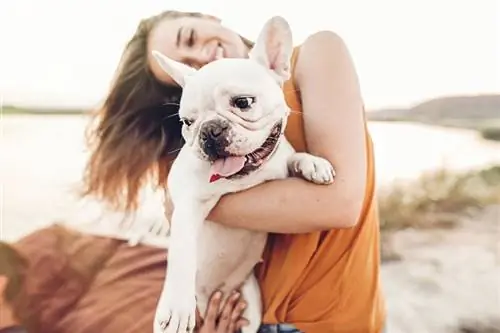 Apa Baka Anjing Anda & Personaliti Katakan Tentang Anda: 10 Taring Diterangkan