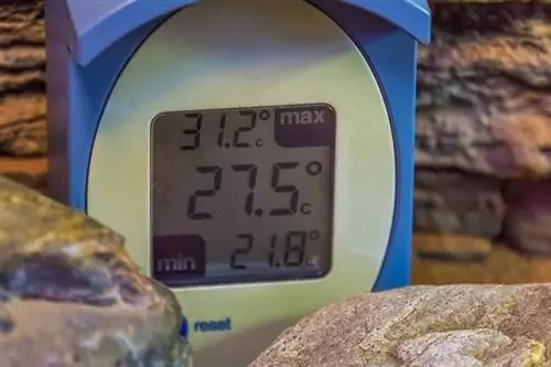 10 najboljih termostata za reptile u 2023. – recenzije & Najbolji izbor