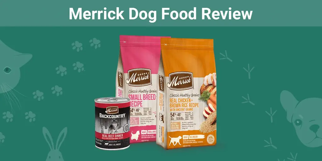 Merrick šunų maisto apžvalga 2023 m.: prisiminimai, privalumai & trūkumai