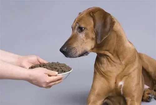 Vai jūs varat novērtēt suņu barību tikai pēc tās pirmās sastāvdaļas? Fakti & FAQ