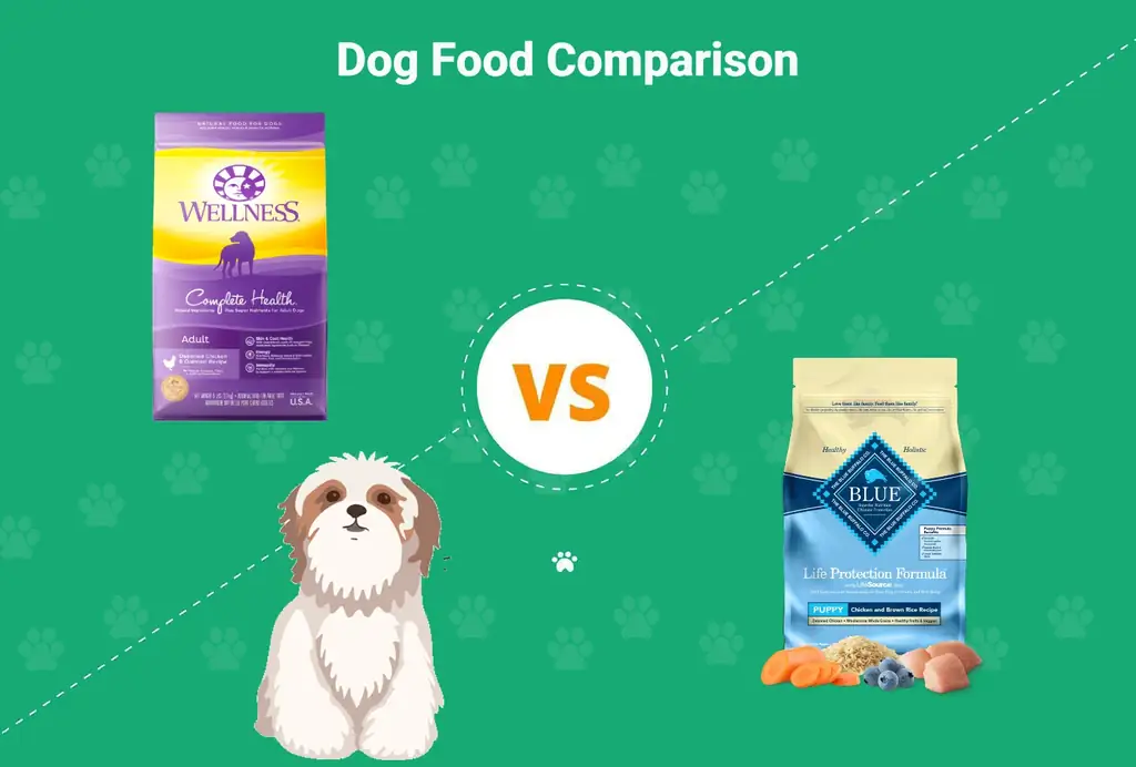 Wellness Dog Food مقابل Blue Buffalo: إيجابيات وسلبيات & ماذا تختار