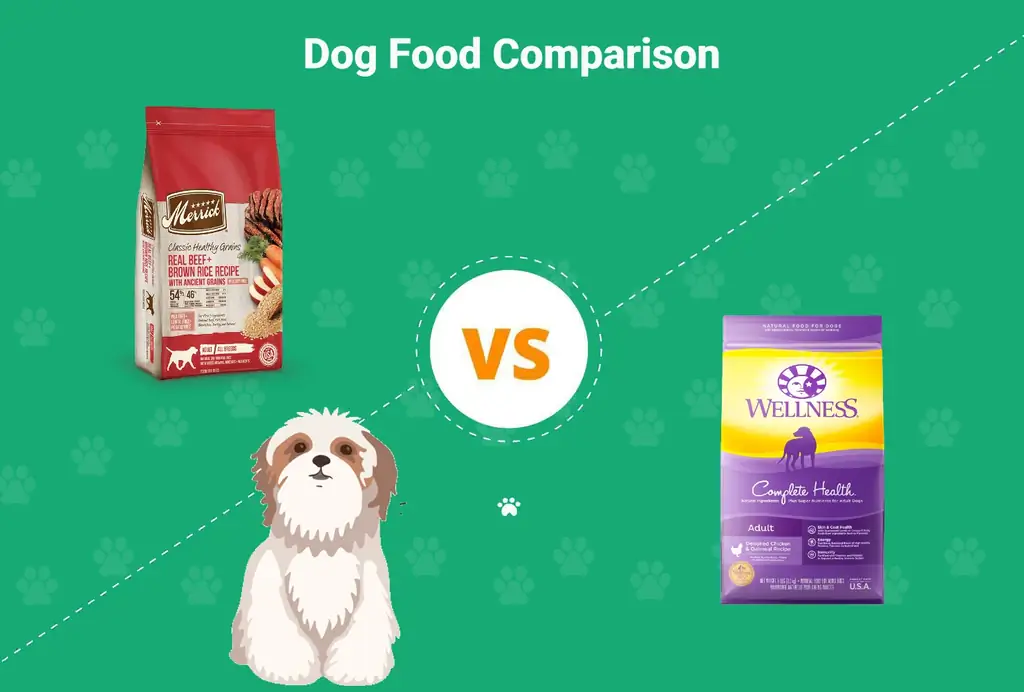 Merrick vs Wellness šunų maistas: mūsų 2023 m. išsamus palyginimas