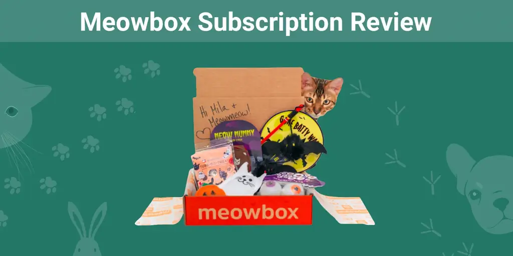 Revisió de la subscripció a Meowbox 2023: Pros, contres & Opinió de l'expert