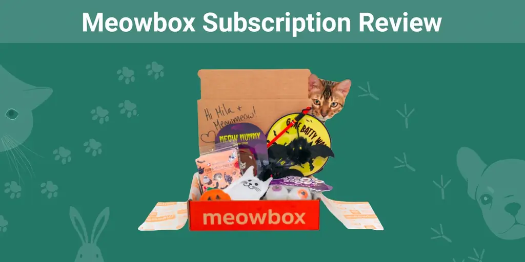 Examen de l'abonnement Meowbox 2023: avantages, inconvénients & Avis d'expert