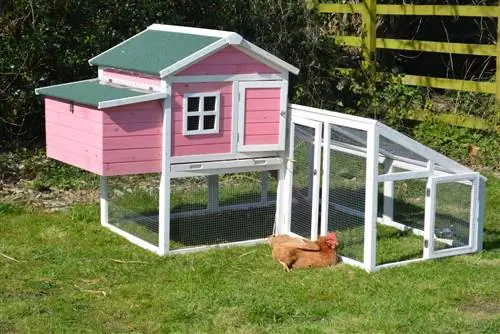 10 DIY Chicken Coop -ovea, joita voit tehdä tänään (kuvien kanssa)