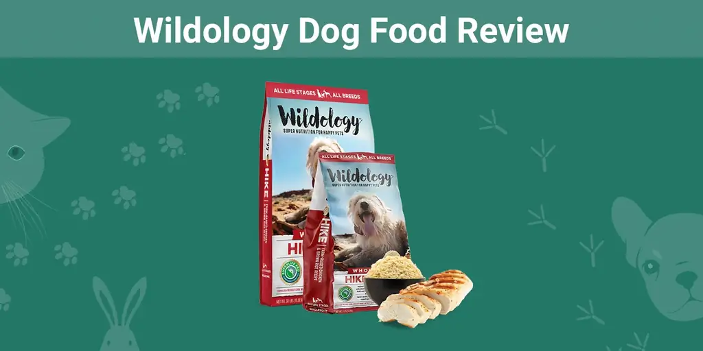 Wildology Dog Food Review 2023: retiros del mercado, ventajas & Contras