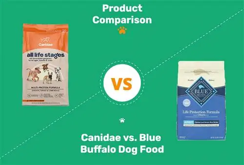 Ushqimi i qenve Canidae kundër Blu Buffalo: Pro, kundër & Çfarë të zgjidhni