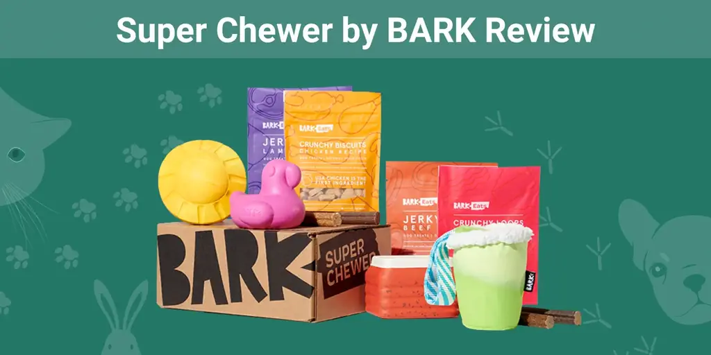 Super Chewer بواسطة BARK Review 2023: رأي خبيرنا