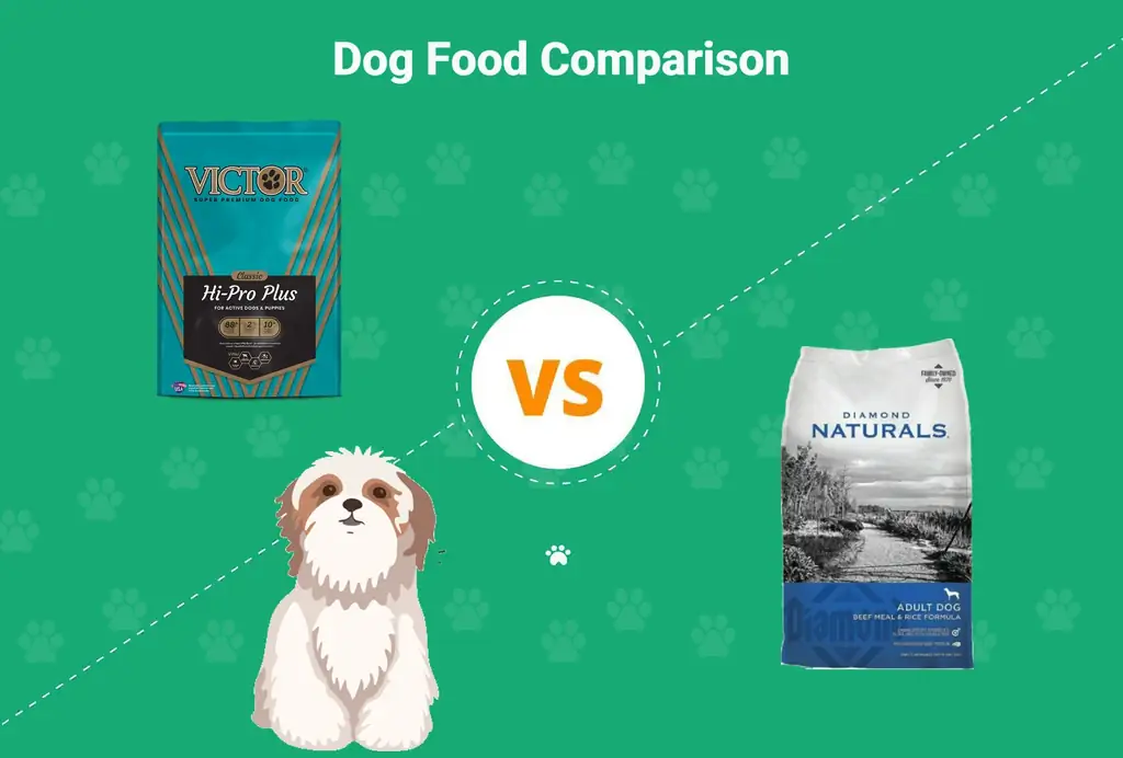 Victor koiranruoka vs Diamond: plussat, miinukset & Mitä valita vuonna 2023