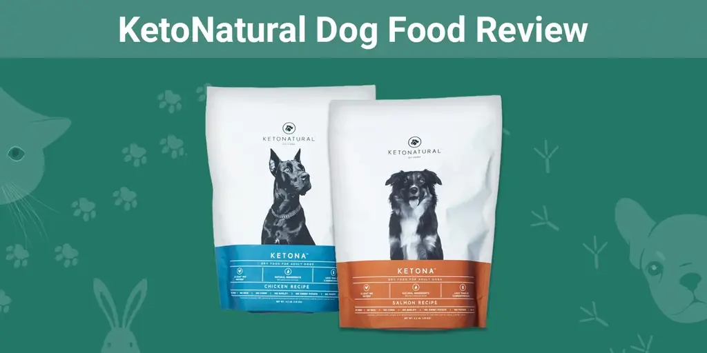 Rishikimi i ushqimit të qenve KetoNatural 2023: Opinioni ynë i ekspertëve