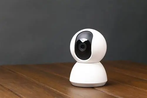 10 Furbo Pet Camera- alternativer i 2023: Er de bedre?