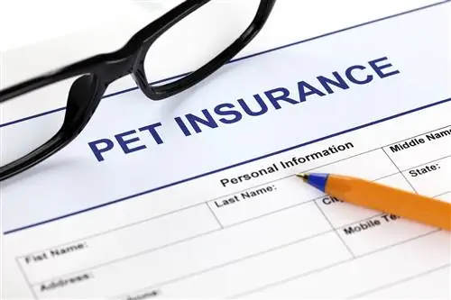 Que couvre l'assurance pour animaux de compagnie ? Comment ça marche, Faits & FAQ