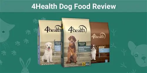 4Veselīgas suņu barības apskats 2023. gadā: plusi, mīnusi, atsaukumi & FAQ