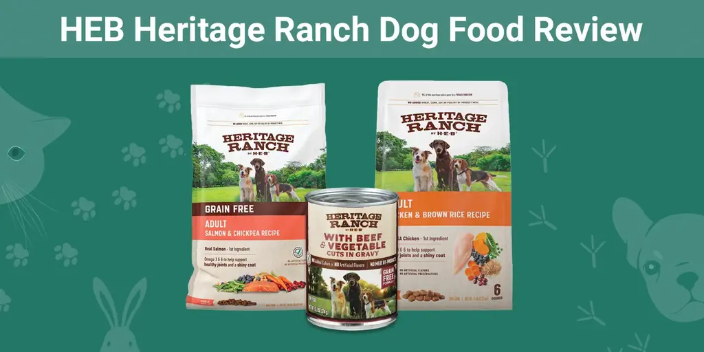 Revisió d'aliments per a gossos HEB Heritage Ranch 2023: Pros, contres & Preguntes freqüents