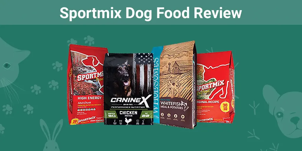 Đánh giá thức ăn cho chó Sportmix 2023: Thu hồi, Ưu điểm & Nhược điểm & Câu hỏi thường gặp