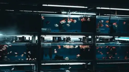 2023-жылдагы 9 мыкты аквариум аба насостору – Обзор & Сатып алуучунун колдонмосу
