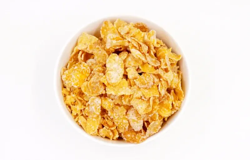 Maaari bang Kumain ng Frosted Flakes ang Mga Aso? Mga Katotohanan sa Nutrisyonal na Sinuri ng Vet & FAQ