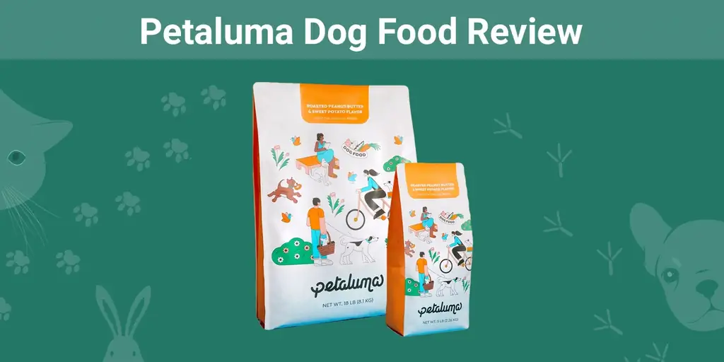 Petaluma Dog Food Review 2023: la opinión de nuestro experto sobre el valor