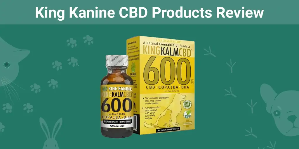 Đánh giá sản phẩm King Kanine CBD năm 2023: Ý kiến chuyên gia của chúng tôi