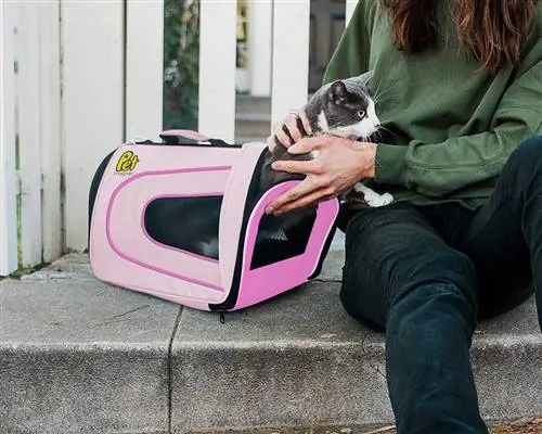 10 melhores transportadoras de gatos com laterais macias em 2023 – avaliações & principais escolhas