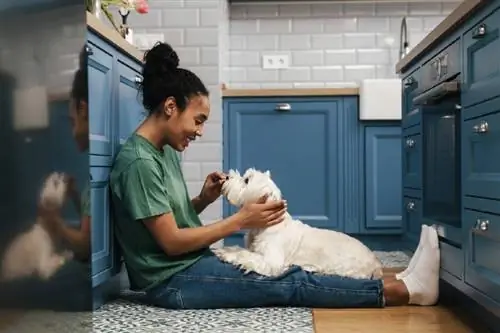 Phốt pho trong thức ăn cho chó: Hướng dẫn tính toán được bác sĩ thú y phê duyệt & Lời khuyên về sức khỏe