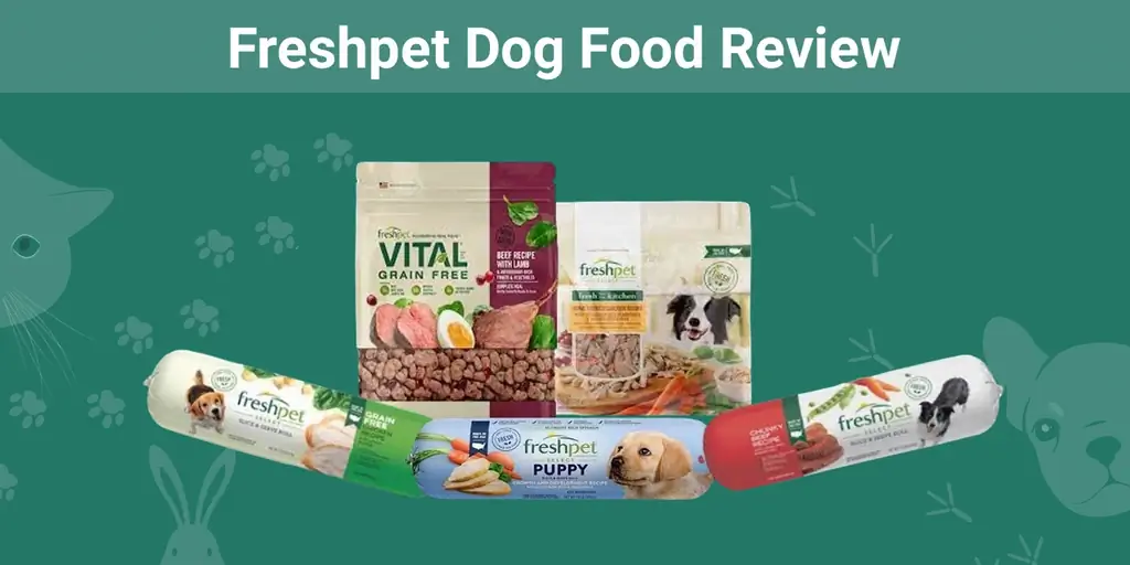 Freshpet Dog Food Review 2023: przypomina, zalety & minusy