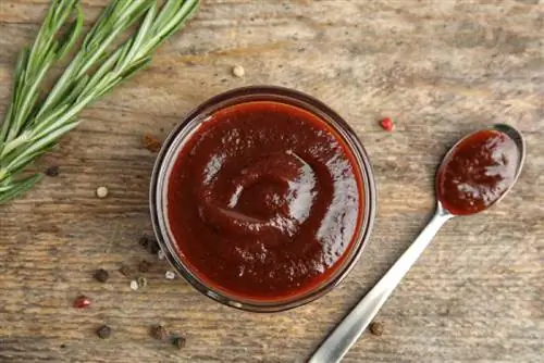 Cov dev puas noj BBQ Sauce? Vet Reviewed Facts & FAQ