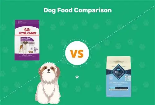 Aliments per a gossos Royal Canin vs Blue Buffalo: comparació 2023, avantatges & contres