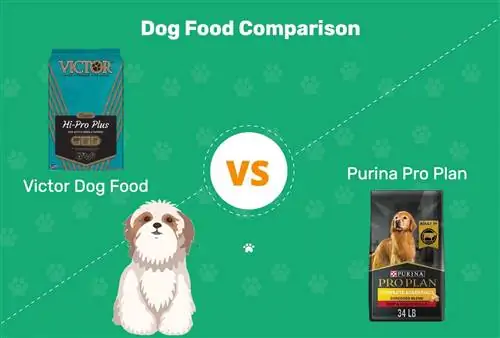 Victor Dog Food vs Purina Pro Plan: Σύγκριση 2023, Πλεονεκτήματα & Μειονεκτήματα