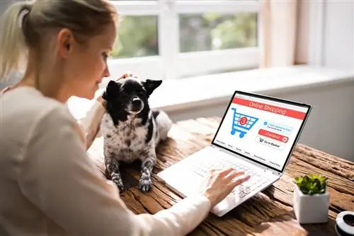 5 största onlineförsäljare av husdjur under 2023: recensioner & toppval