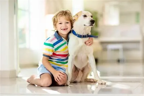 Cila është mosha më e mirë që fëmija juaj të marrë një qen? Shenjat, Faktet & FAQ