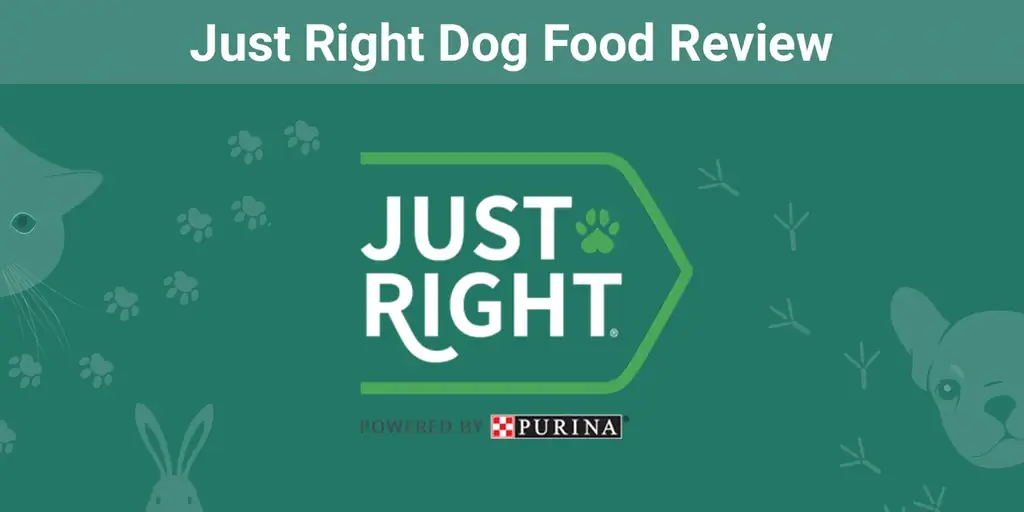 Just Right Recenzja karmy dla psów 2023: zalety, wady, wycofania & FAQ