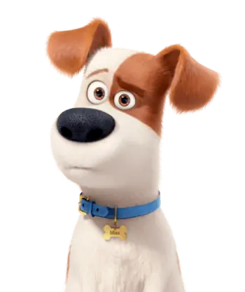 Kokios veislės šuo yra Maksas iš Secret Life of Pets? Įžymūs filmų veikėjų faktai