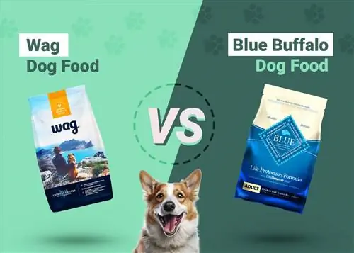 Wag vs Blue Buffalo Dog Food: porovnanie roku 2023, plusy & mínusy