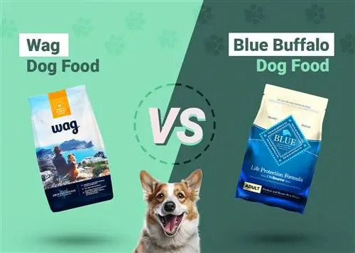 Wag vs Blue Buffalo Chakula cha Mbwa: 2023 Comparison, Faida & Cons