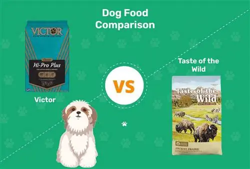 Victor vs Taste of the Wild Dog Food: 2023-vergelyking, voordele & nadele