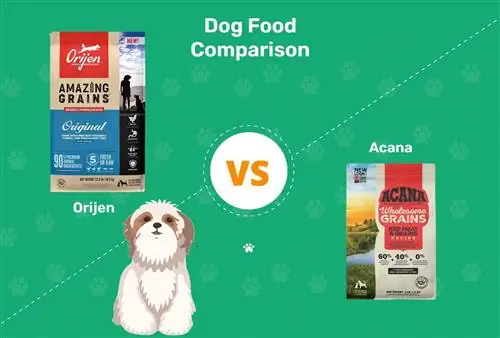 Orijen vs Acana šunų maistas: 2023 m. palyginimas, privalumai & minusai