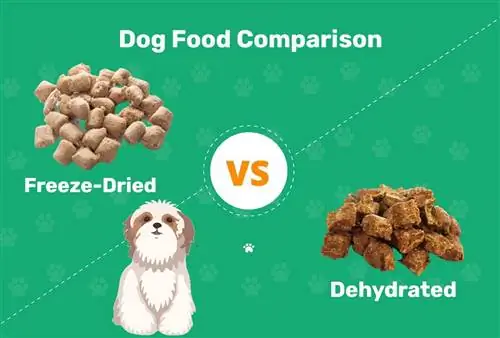 Freeze-Dried vs Dehydrated Dog Food 2023 المقارنة: الايجابيات & سلبيات