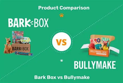 BarkBox vs Bullymake (2023 m. palyginimas): kuris iš jų yra geresnis?