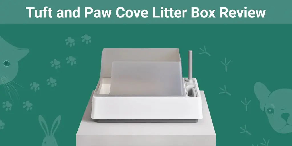 Tuft & Paw Cove Litter Box Review 2023 - إيجابيات وسلبيات & الحكم النهائي