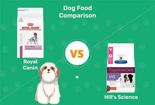Ushqimi i qenve Royal Canin vs Dieta e Shkencës Hill: Krahasimi 2023, Pro & Kundër