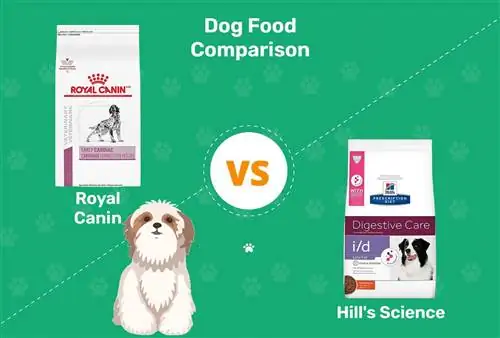 Chakula cha Mbwa wa Royal Canin dhidi ya Mlo wa Sayansi ya Hill: 2023 Comparison, Faida & Cons