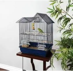 9 Pinakamahusay na Parakeet Cages sa 2023 – Mga Review & Mga Nangungunang Pinili
