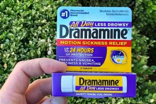 Dramamine Para sa Mga Aso: Mga Paggamit na Inaprubahan ng Vet & Potensyal na Mga Side Effect