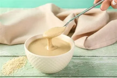 Kan hunde spise tahini? Dyrlægen gennemgået fakta & FAQ