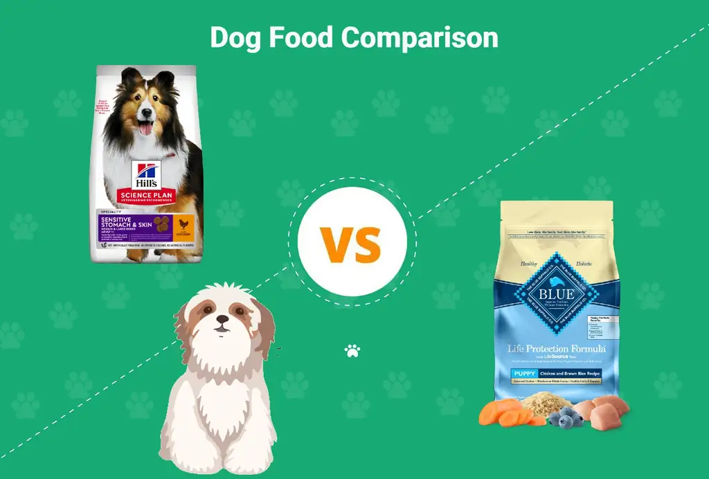 Hill's Science Diet vs Blue Buffalo Dog Food: Comparaison 2023, Avantages & Inconvénients